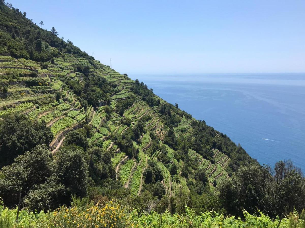 Sergiohome La Spezia Exteriér fotografie